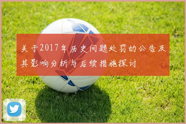 关于2017年历史问题处罚的公告及其影响分析与后续措施探讨