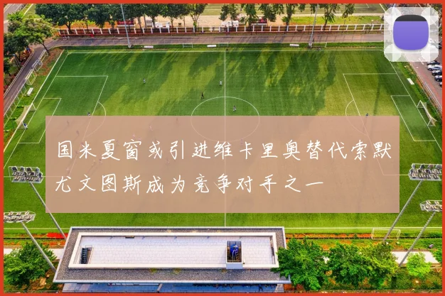 国米夏窗或引进维卡里奥替代索默尤文图斯成为竞争对手之一