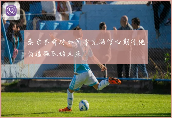 泰尔齐奇对加图索充满信心期待他打造强队的未来