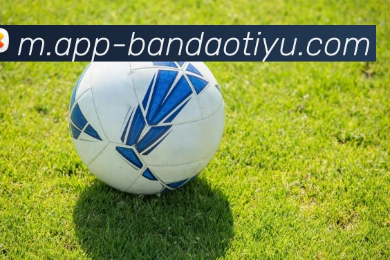 半岛体育平台生态图