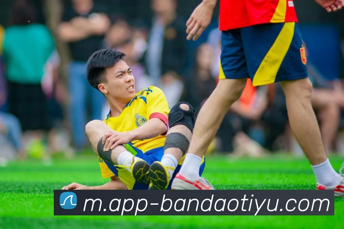 半岛体育全站App